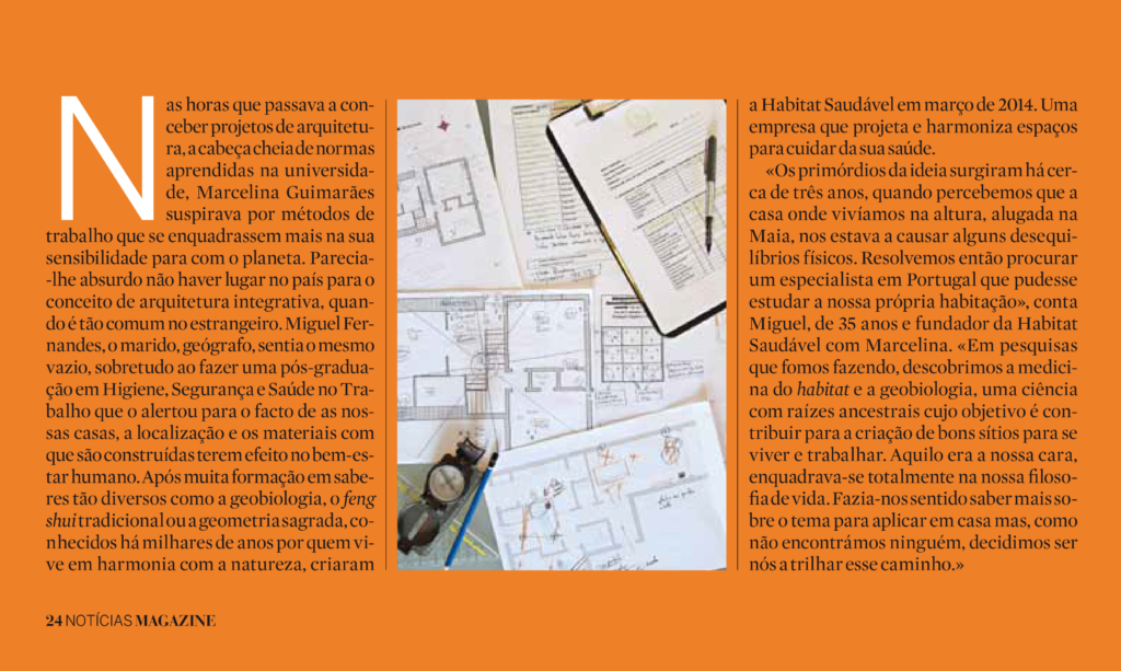 habitat saudavel noticias magazine